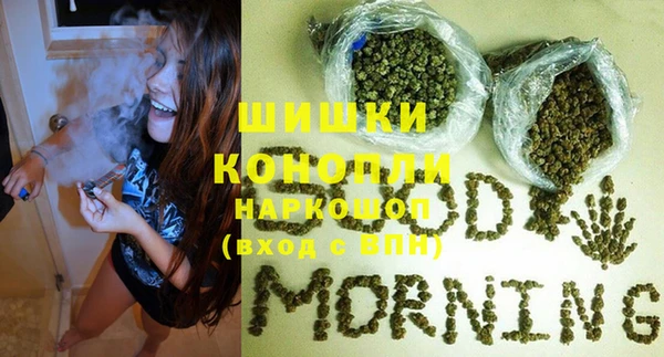 гидра Гусиноозёрск