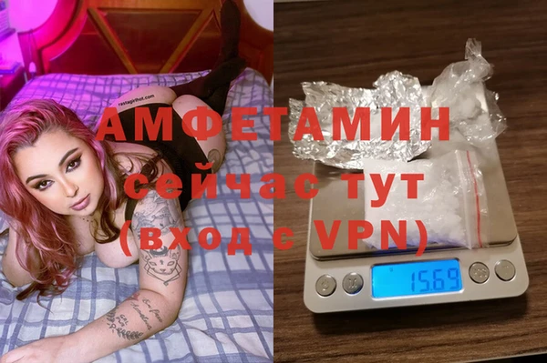кристаллы Гусь-Хрустальный