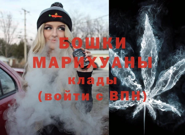 дмт Дмитриев