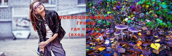 гашиш Дмитров