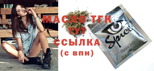 гидра Гусиноозёрск