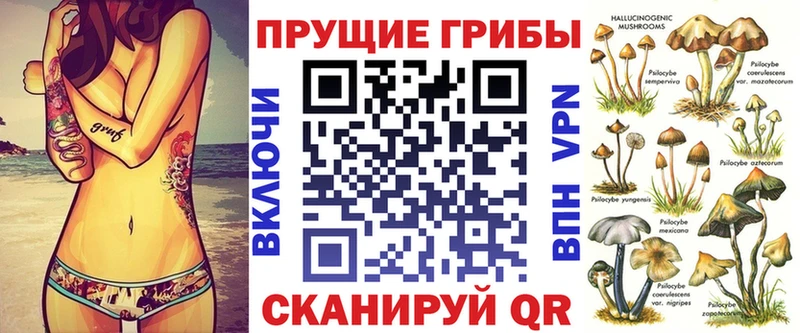 где найти   Курган  Псилоцибиновые грибы GOLDEN TEACHER 